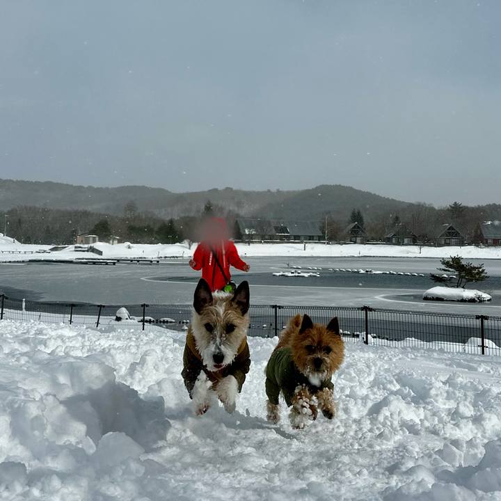 E7af1671 beb0 46c2 b1a3 4b705e625cac 1738312459685