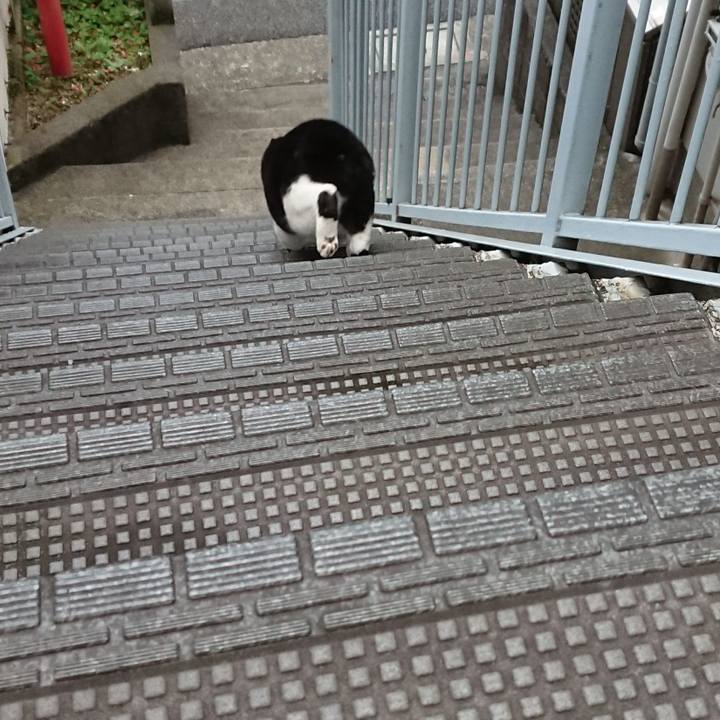 E7af2888 f45d 40d7 b812 5575e5aab694 1602719601672