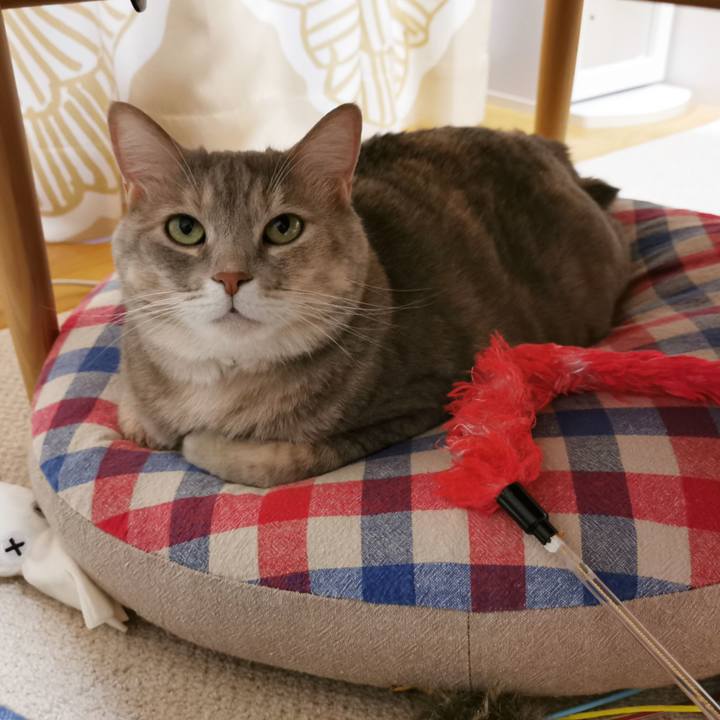 E7af5052 b1bb 4a1f 8134 c59f79e6de8a 1663822011627