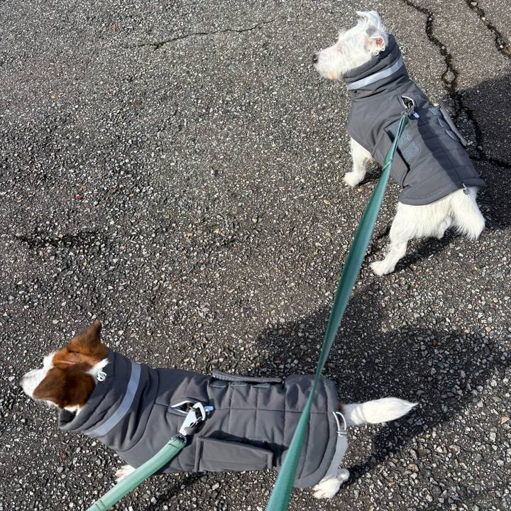 E7af8bc2 036c 4e2b a321 184d6d46e842 1765509517838