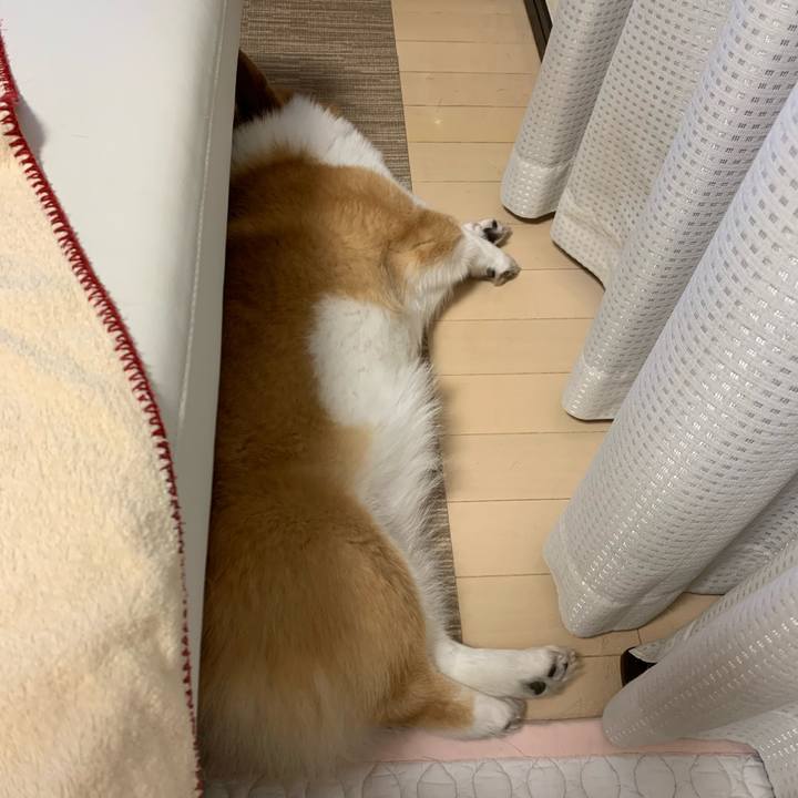 E7af8e79 3be6 44a2 9481 8c92c42c3da2 1597624883276