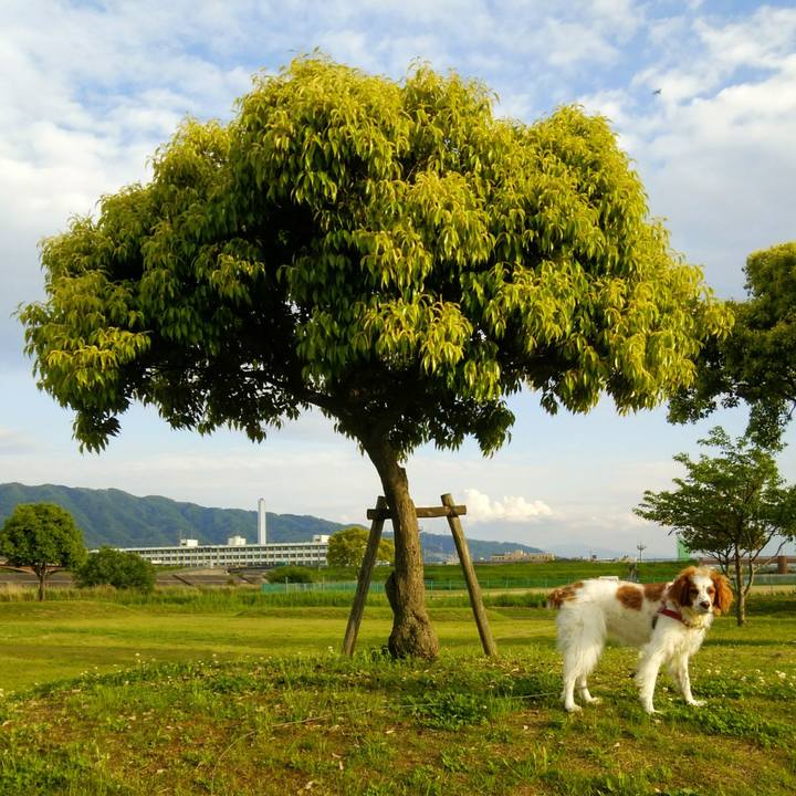 E7af9552 384b 4b19 855f bcb2ac093f10 1557402258321