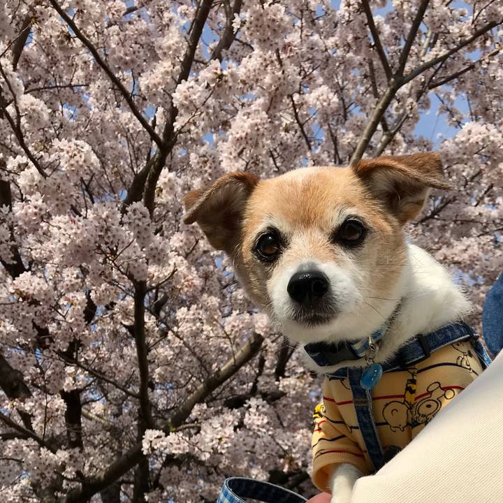 E7afb504 0f2a 4470 bbd6 c1652d7491c6 1648898420447