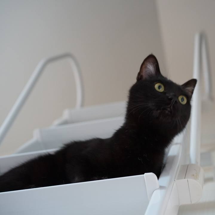 E7afd958 5e89 47b3 bef9 a8712d41dc36 1555975832990