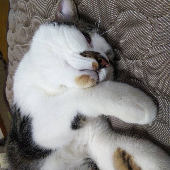 E7afdcdd 230a 4598 9a67 0f5e6b2ed22c 1624190096720