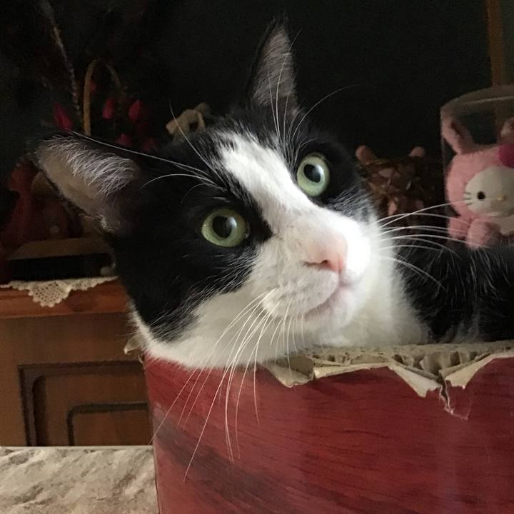 E7afe881 85e9 4e84 a9ff 30acac931938 1757044196994