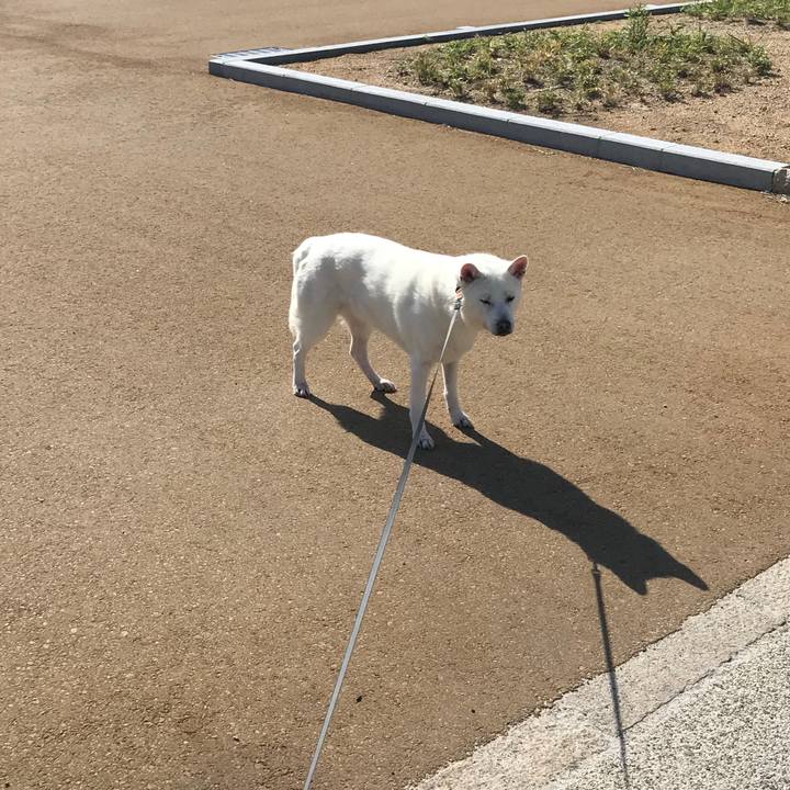 E7affd1a ee27 42bd 85af 87cac4f669ed 1524965061601