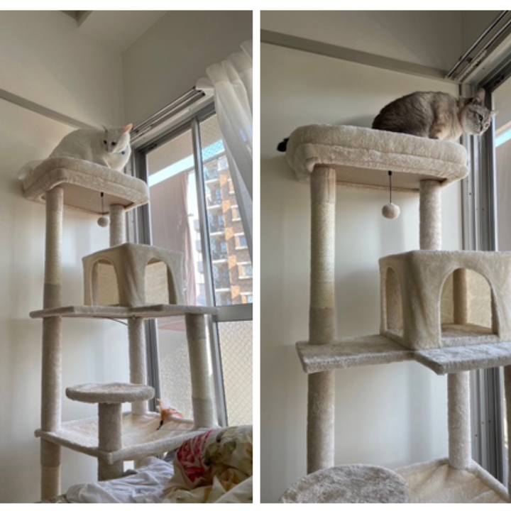 E7b007ef ccde 49e2 9c42 1f871baf134f 1680708065813