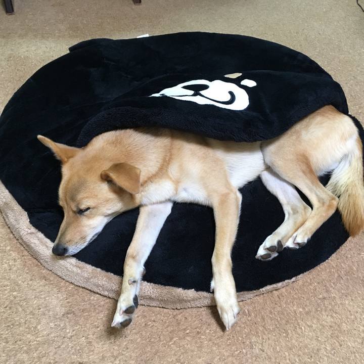 E7b01543 5a8a 4889 a384 6edaa88e9855 1510739588818