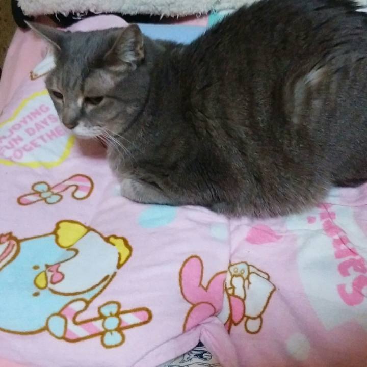 E7b056f5 0137 40bf b5ae 4e8aa1068f3d 1581631065825