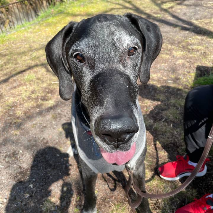 E7b0683e 83cd 4027 a4a8 cbdb5c2c9c1f 1615003600479