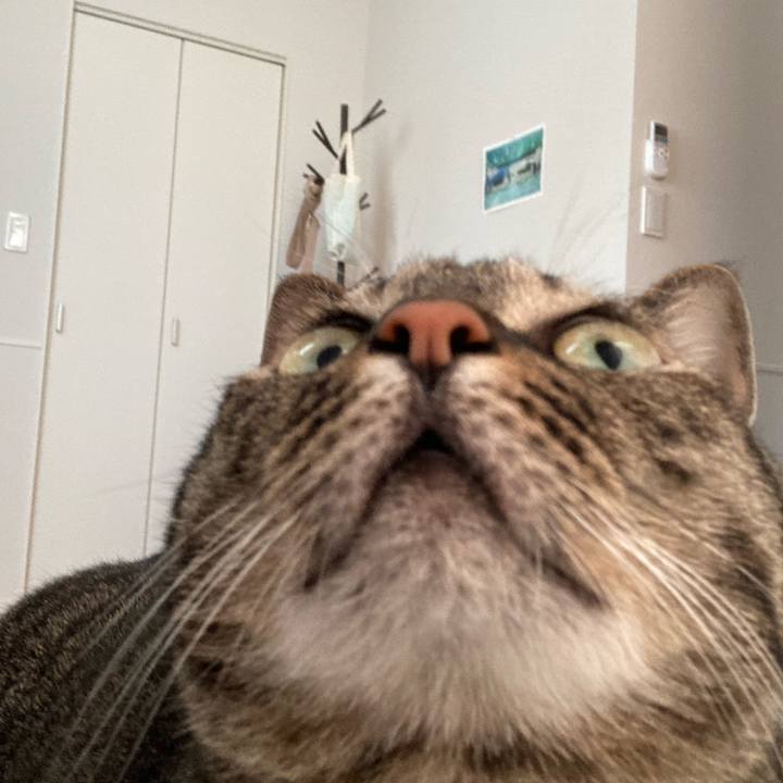 E7b07fd4 4ed5 442c bdf3 bf71a1b8a316 1655085826440