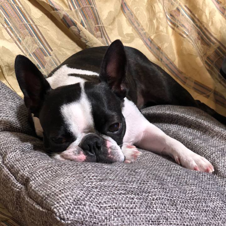 E7b0d25c 798a 4f34 a998 8a7abaaf538e 1571309110213