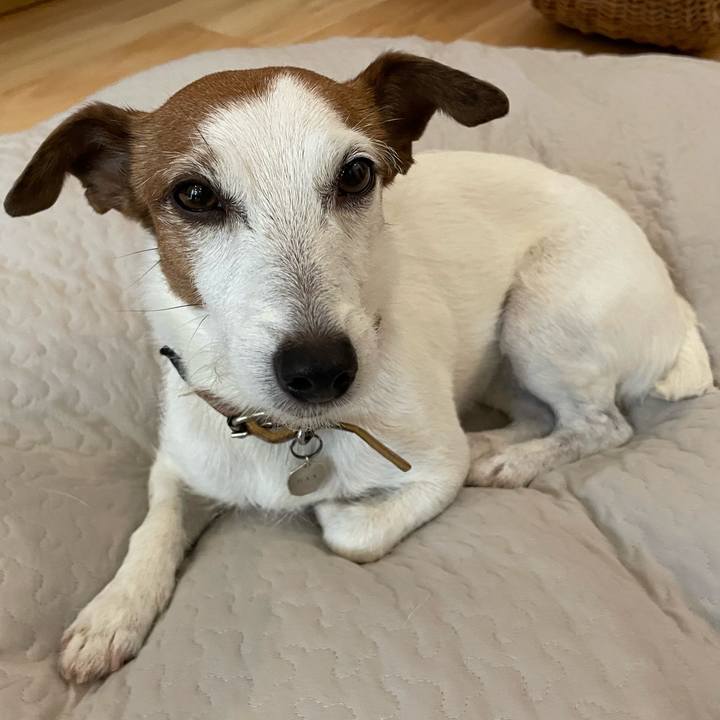 E7b0f39c 664e 4fd7 b8f9 85ea56bc4203 1767193515827