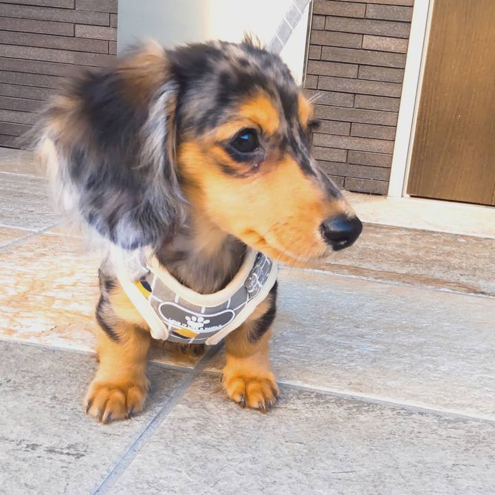 E7b0fc81 f976 42cf 9c2c f6b326ba4a0f 1699012842709