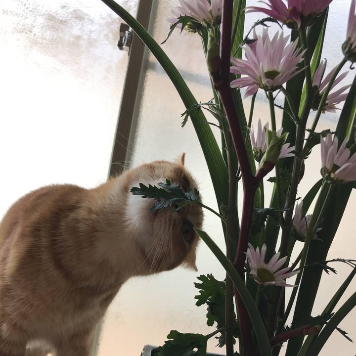 E7b1129a f282 4250 9641 fe233dc4934f 1518742177587