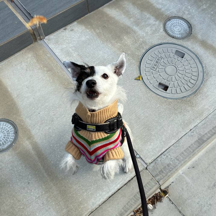 E7b12439 788d 4dc7 ba2d a183668d7305 1763421875578