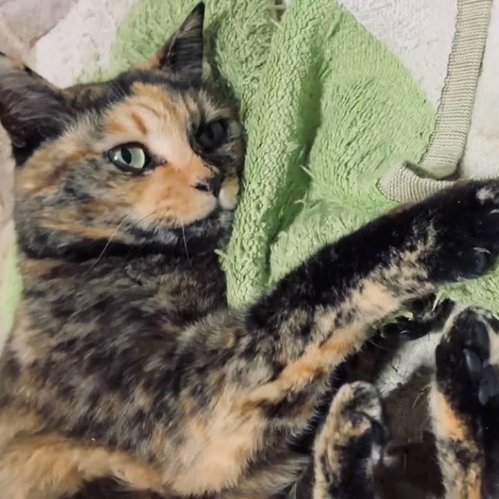 E7b173e9 e5a9 4a24 a0dc 2f4a3a5ba77f 1766178932114