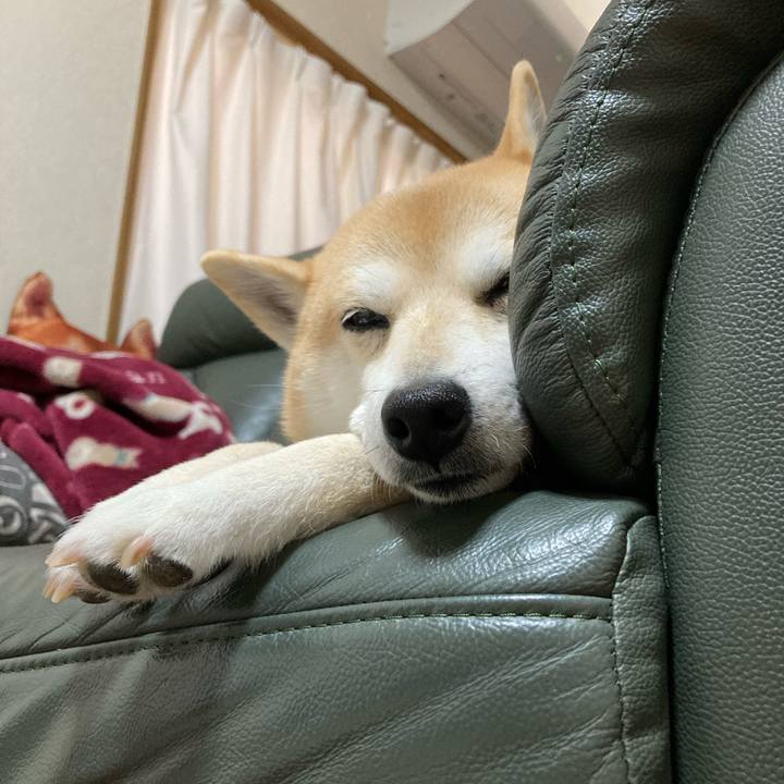 E7b19991 6585 4073 883e 727504ab26cd 1617340653087