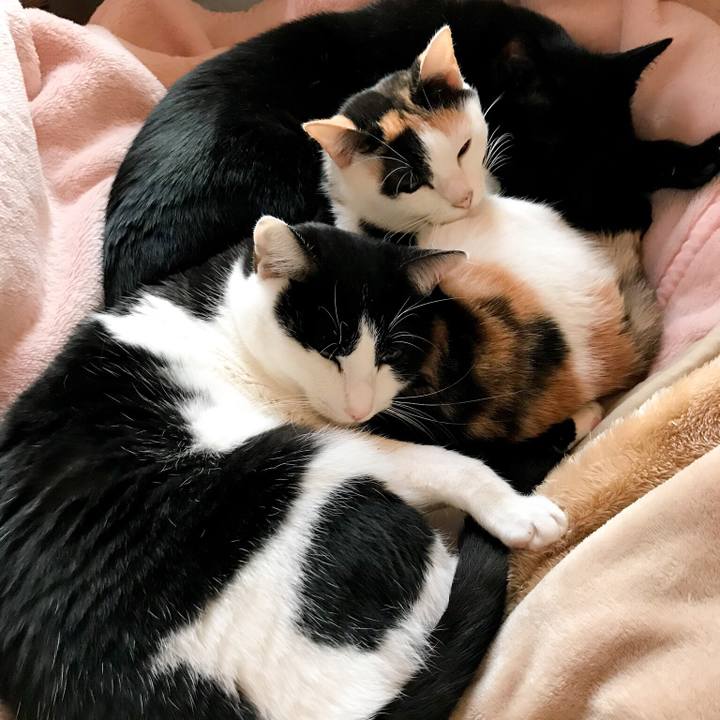 E7b19c62 ac34 4956 8c95 761d393a324f 1511832191168