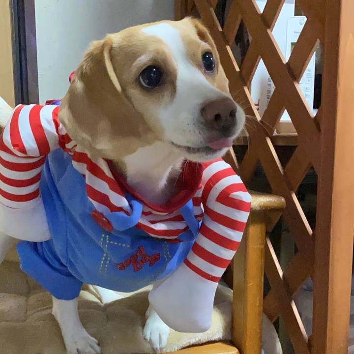 E7b1bdd0 d6cd 448c a71b 7ce68b84a5f1 1632132868477