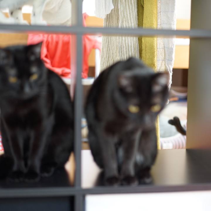 E7b1c23c 2d41 4184 ad0a fae48e0788a5 1555545531251