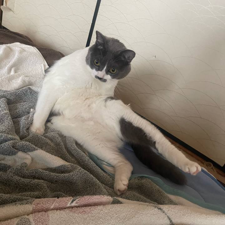 E7b1c7b8 a2e2 4b14 872a acf64d3dedaf 1694990839057