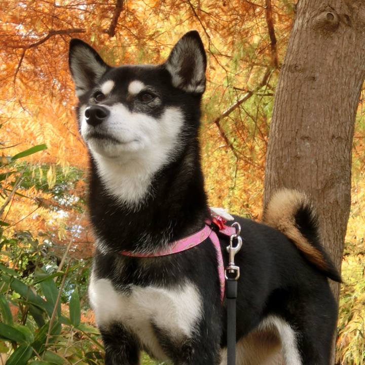 E7b1cef0 2cb3 45b8 9db7 d57e4e5e9bba 1511218244730