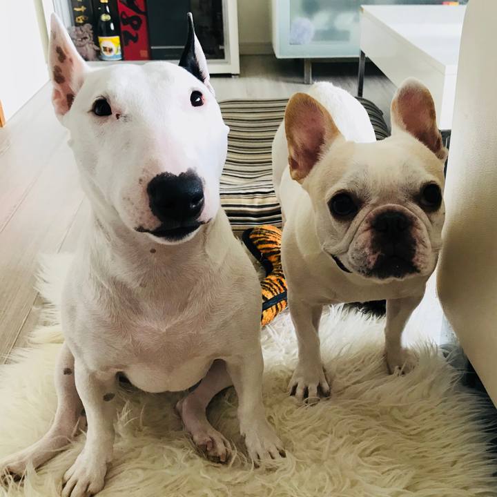 E7b1e178 797b 4ead 83d7 a9ab2f2b1fa5 1533635253798