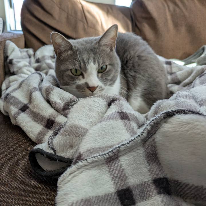 E7b27cf2 2fbb 4acf 9eaa 0b3038771f24 1737783333831