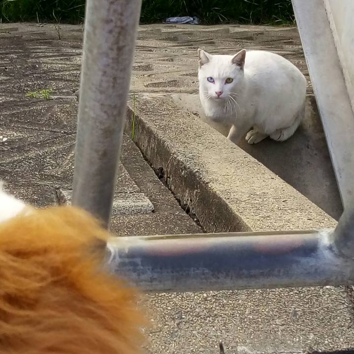 E7b280f3 08cb 412f a67d 649eb1e54bd5 1519385807519