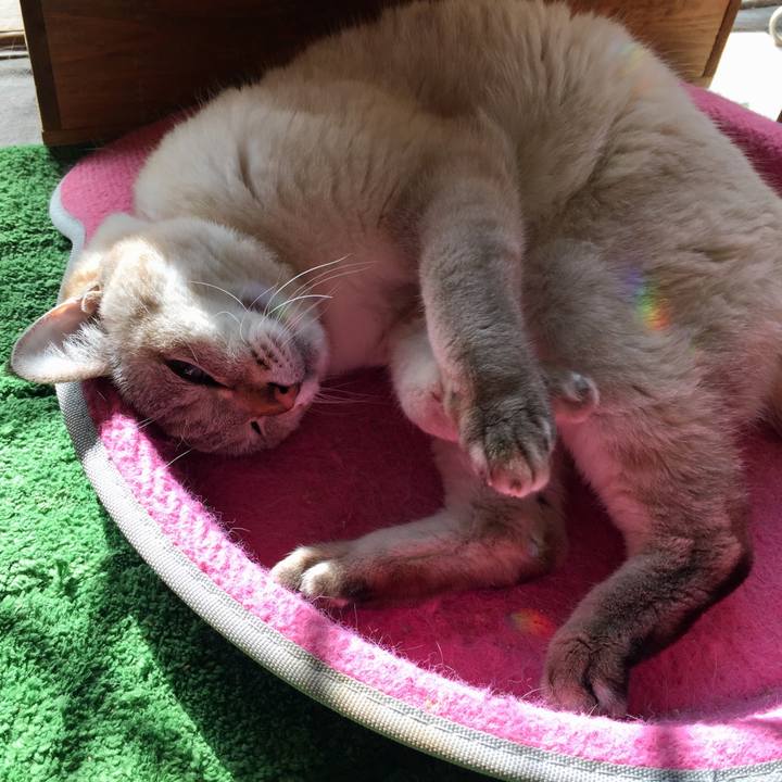 E7b2dfd4 ab6d 4f3a 8e93 3386cdff14a6 1582079844107