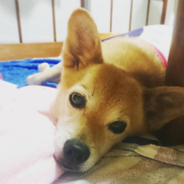 E7b31206 3d4c 4c7f a237 971de9087975 1596547465864