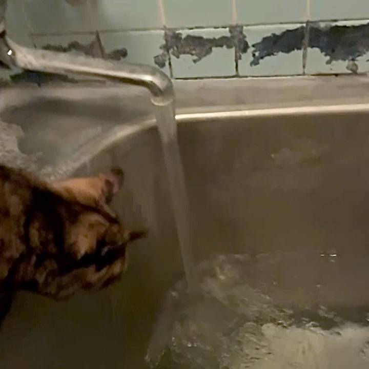 E7b314b6 a4b9 4d55 9456 42a7918cac87 1762980065711