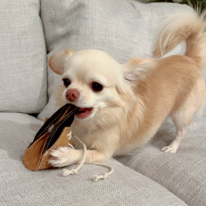 E7b33f25 cdb4 42e9 a77d bf4a8f349cfc 1701162380927