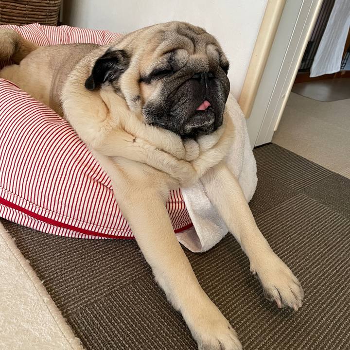 E7b34c7e 60e5 4d8b 9e3e 79fdfa94a12c 1739076287092