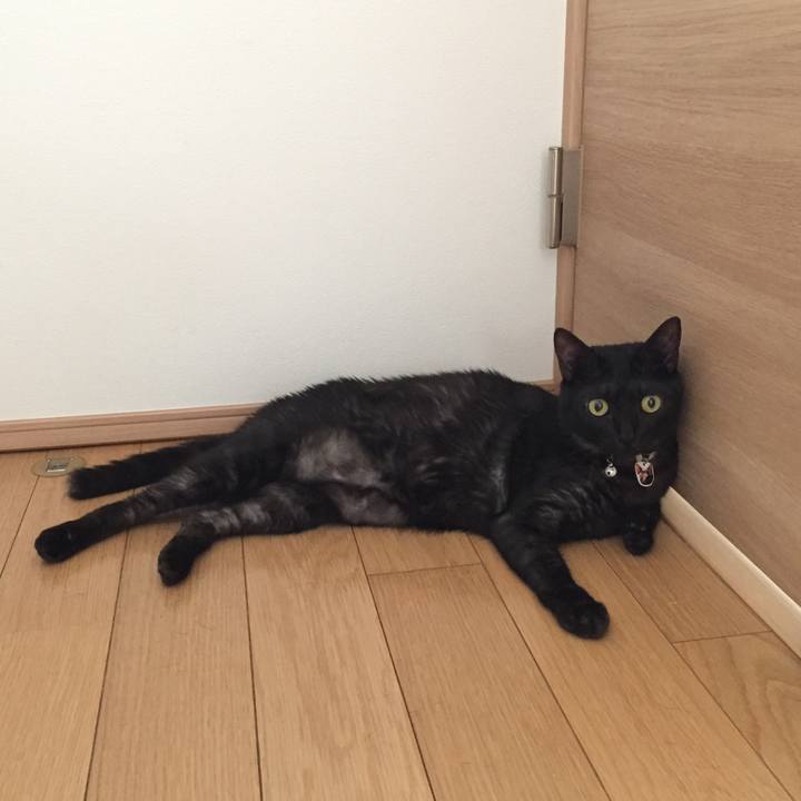 E7b3561e 1782 48df b2fd 5b90c313035a 1530322394597