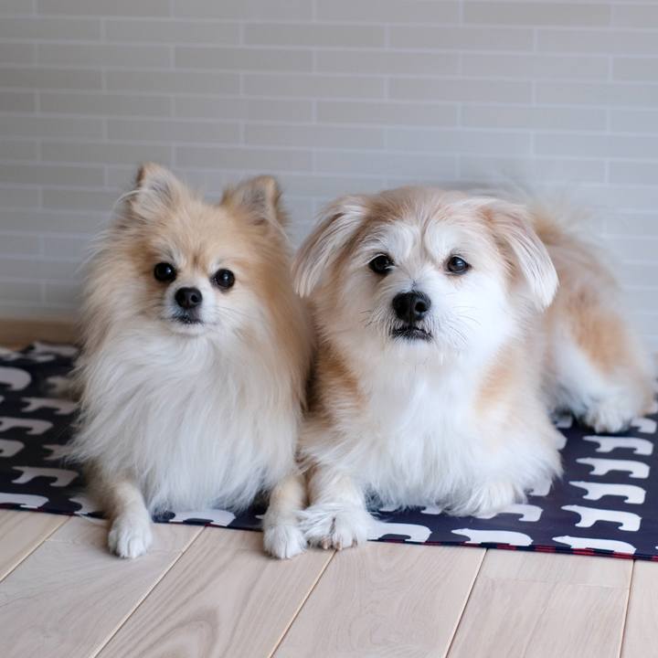 E7b3a035 a396 43dc 9f7b 076bd8ad26e9 1763071339997