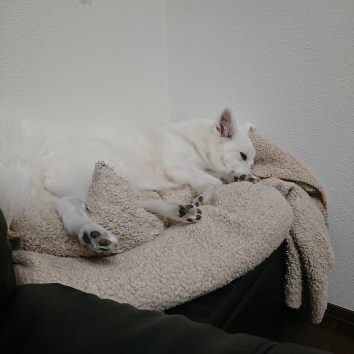 E7b3af5c 8318 4f57 90c8 35c666c8d19b 1556294414427