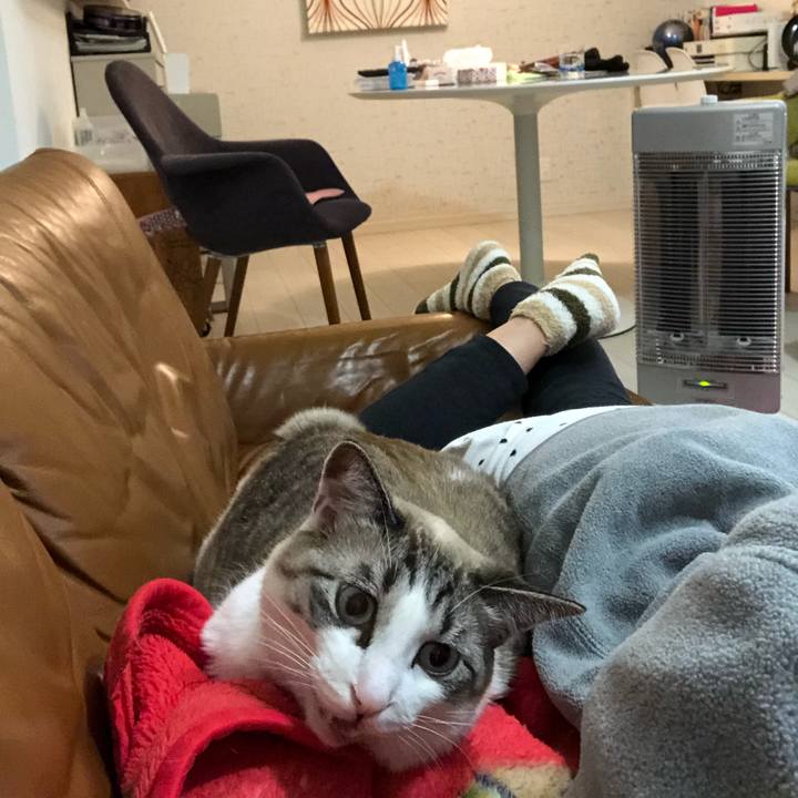 E7b3d036 7fc5 4621 b90a 9fe648d9e25c 1548328122185