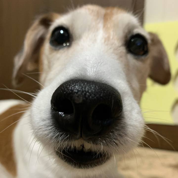 E7b3db1f f15f 485f aa60 d7ada142df7c 1619149696465