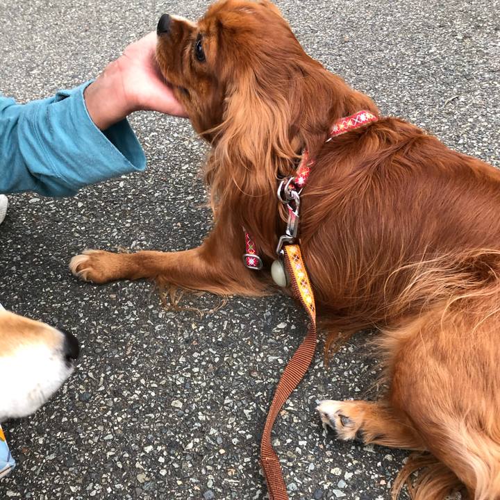 E7b3fc3a 9f5b 440e a7a8 d890d54d6efe 1599997258764