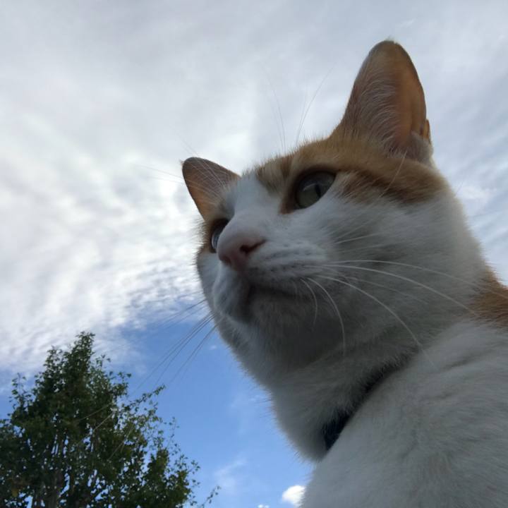 E7b44bca fbe0 453c bc0d 37c9956bfed0 1507800622947