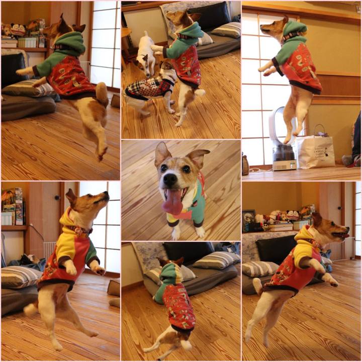 E7b453a3 d381 48ad a9e7 acbc3ca615ca 1582537461862