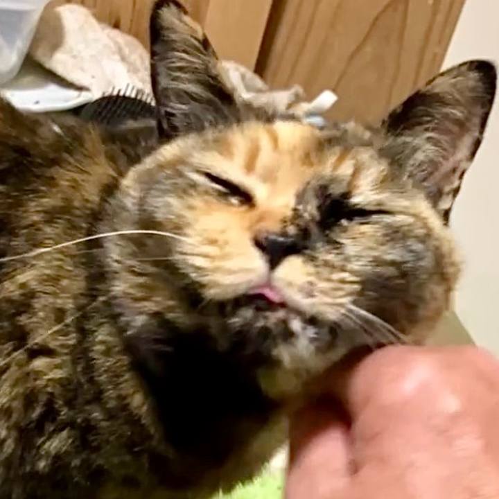 E7b45d3b 91b7 4d5d 83db f7cd57358796 1740562640470