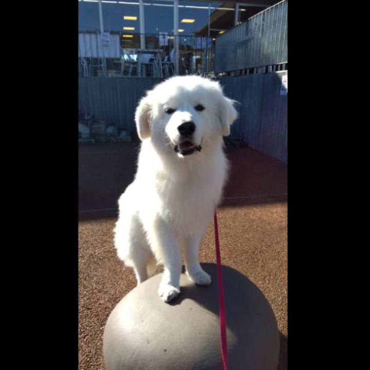 E7b481e9 d7ba 42d1 a4f2 63caba69ec91 1670992036038