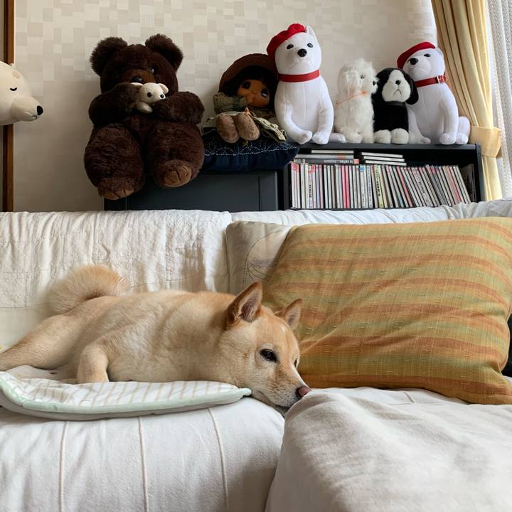 E7b493aa 1f21 4802 80b4 5a392fce6a15 1625793133214