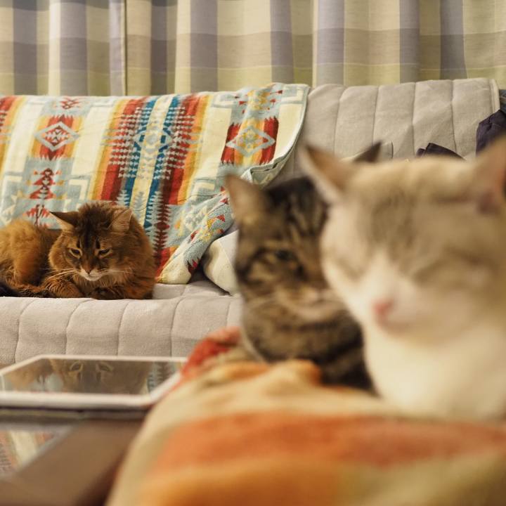 E7b50114 675e 4312 a319 0c6a2d6625c3 1700995691411