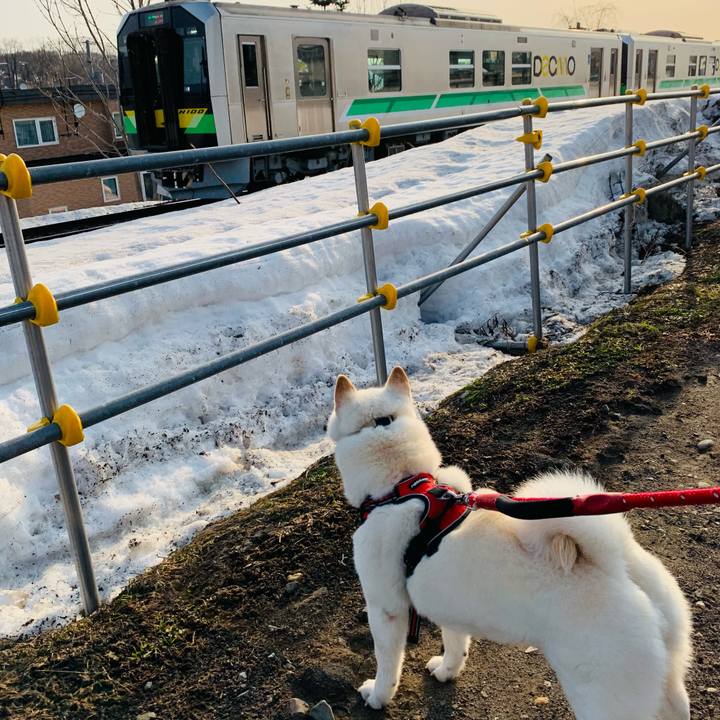 E7b51923 ae97 4cff a5ec f3d219b390b0 1679438179731