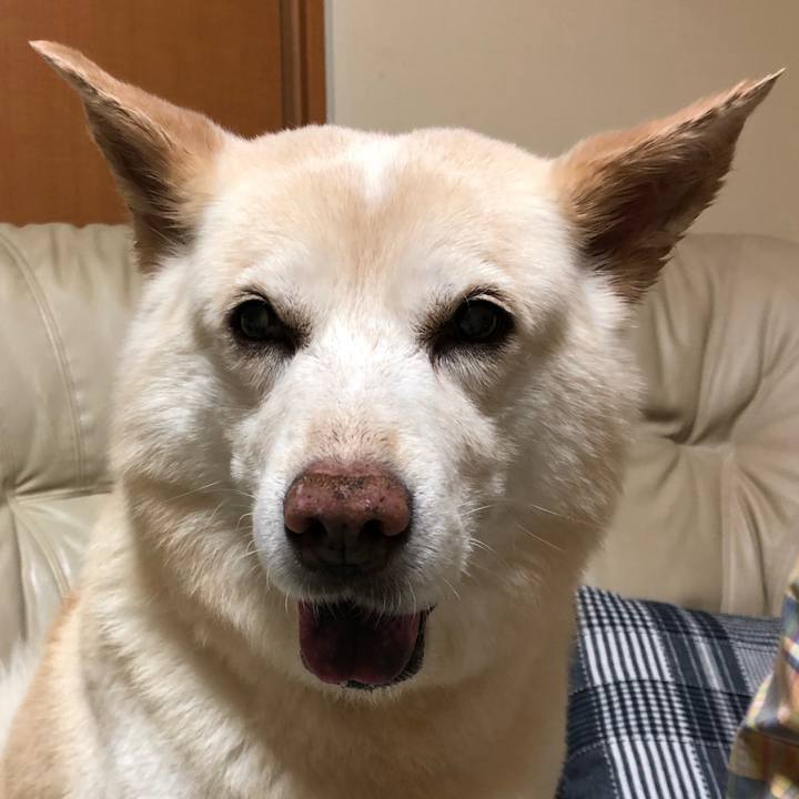 E7b51a90 6aa0 4db7 8922 9d32093b6884 1602663891792